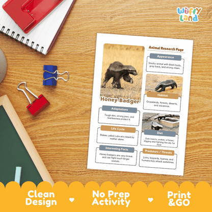 Honey Badger Animal Research Page Worksheets and Fact Sheet Activity