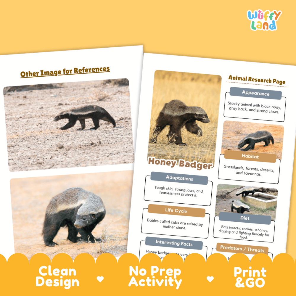 Honey Badger Animal Research Page Worksheets and Fact Sheet Activity