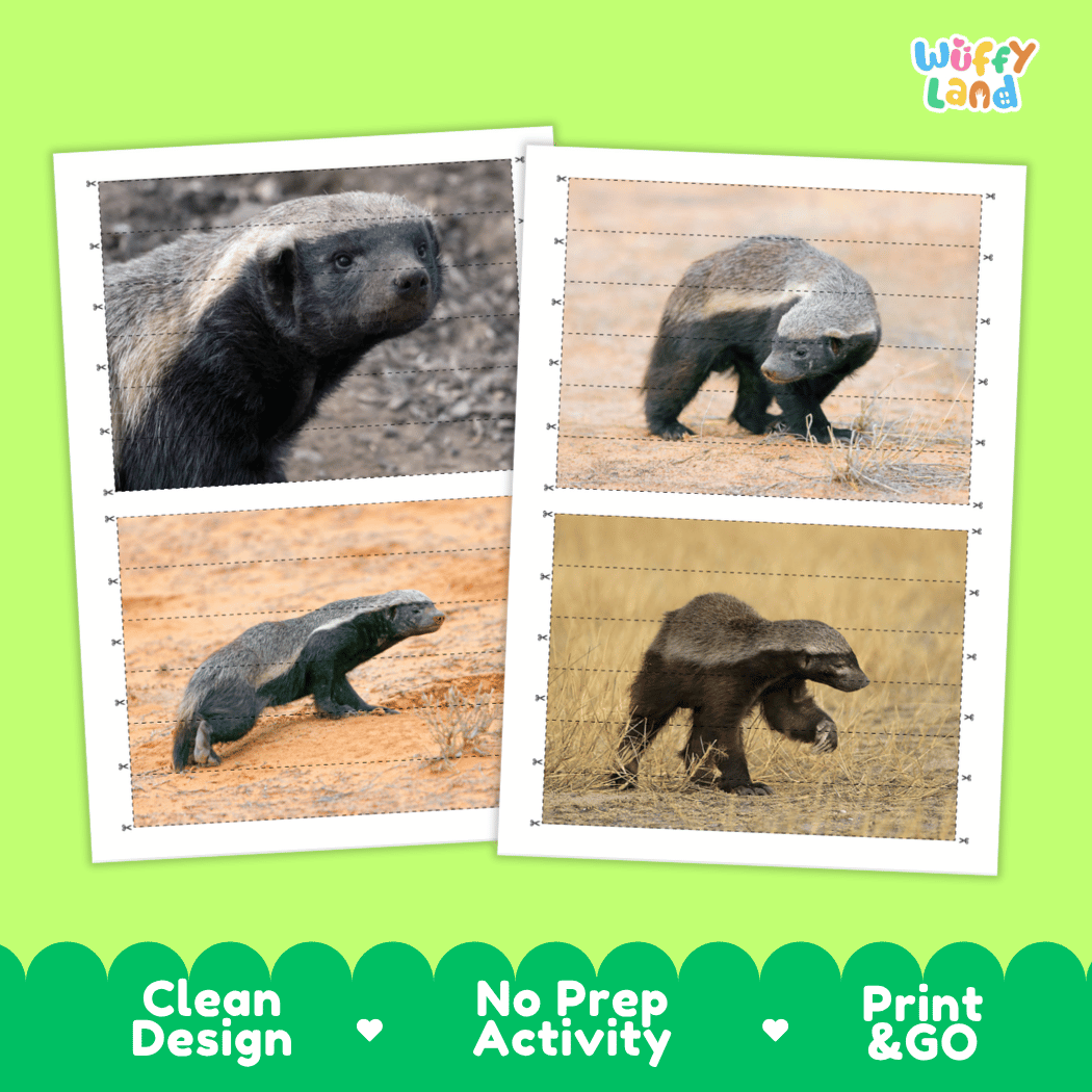 Honey Badger Cut and Match Activity Worksheets | Safari Animal Puzzle Printables