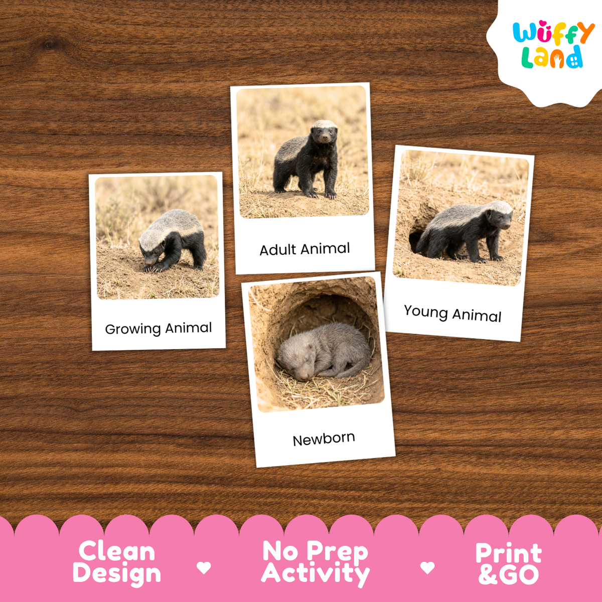 Five animal-themed activity cards showing honeybees and a newborn pig on a wooden surface, with a pink banner at the bottom reading 'Clean Design', 'No Prep Activity', and 'Print & GO', plus a 'Wuffy Land' logo in the top right.
