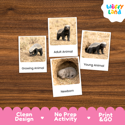 Five animal-themed activity cards showing honeybees and a newborn pig on a wooden surface, with a pink banner at the bottom reading 'Clean Design', 'No Prep Activity', and 'Print & GO', plus a 'Wuffy Land' logo in the top right.