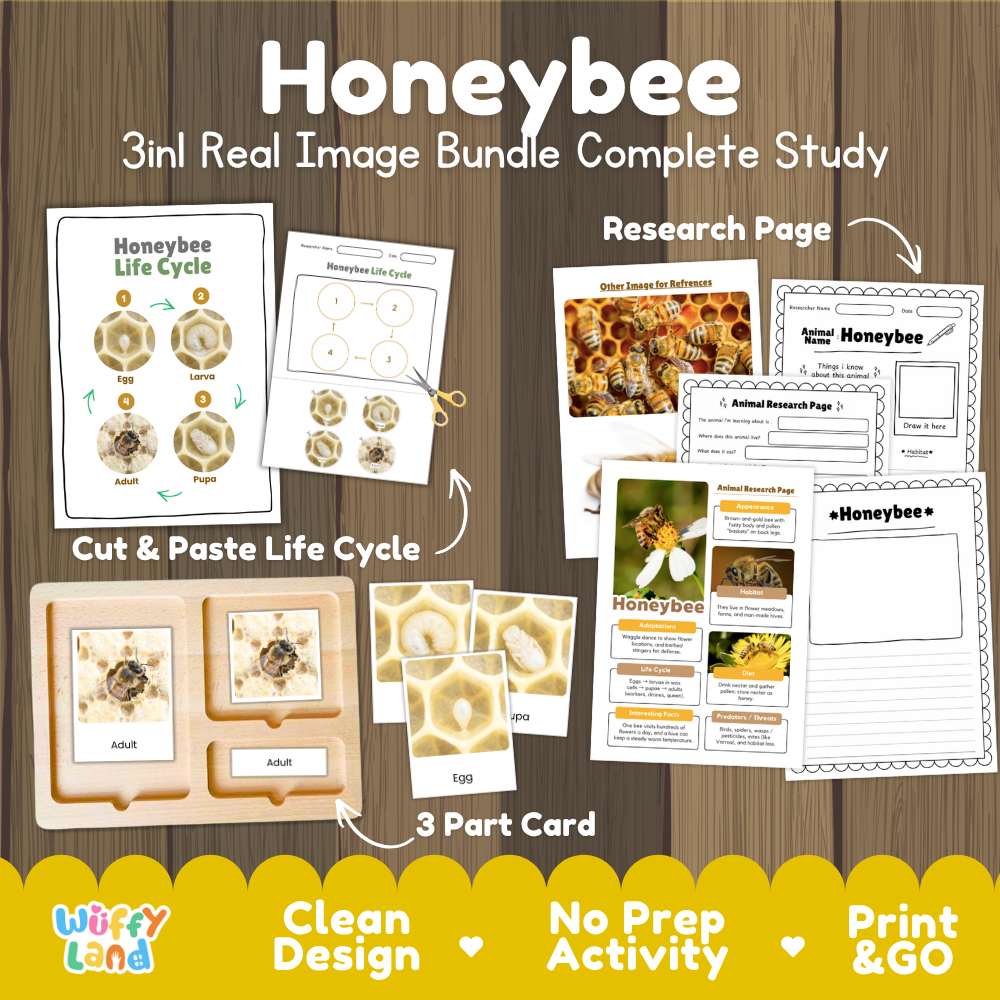 Honeybee 3-in-1 real image bundle complete study cover showing cut and paste life cycle, 3 part cards, and research pages
