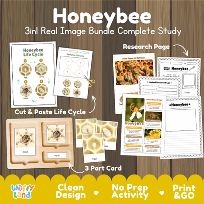 Honeybee 3-in-1 real image bundle complete study cover showing cut and paste life cycle, 3 part cards, and research pages