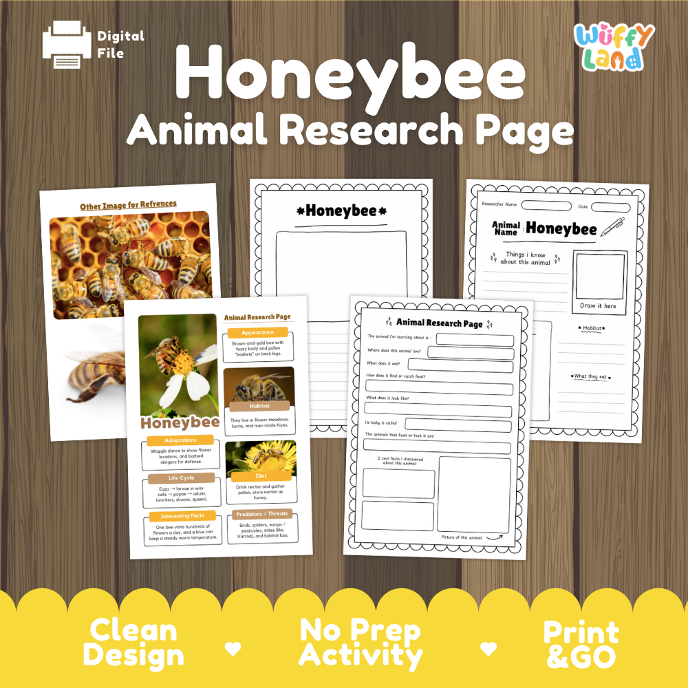 Honeybee Animal Research Page Worksheets