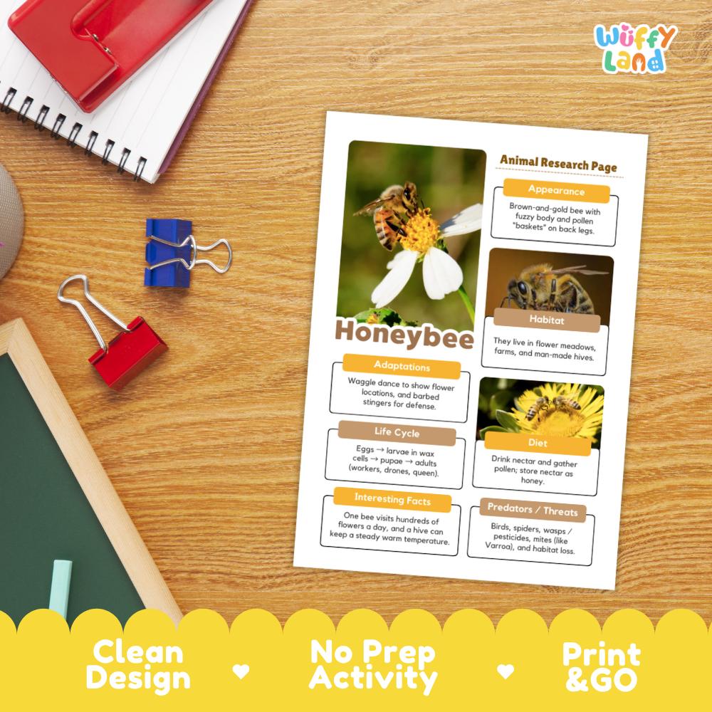 Honeybee Animal Research Page Worksheets