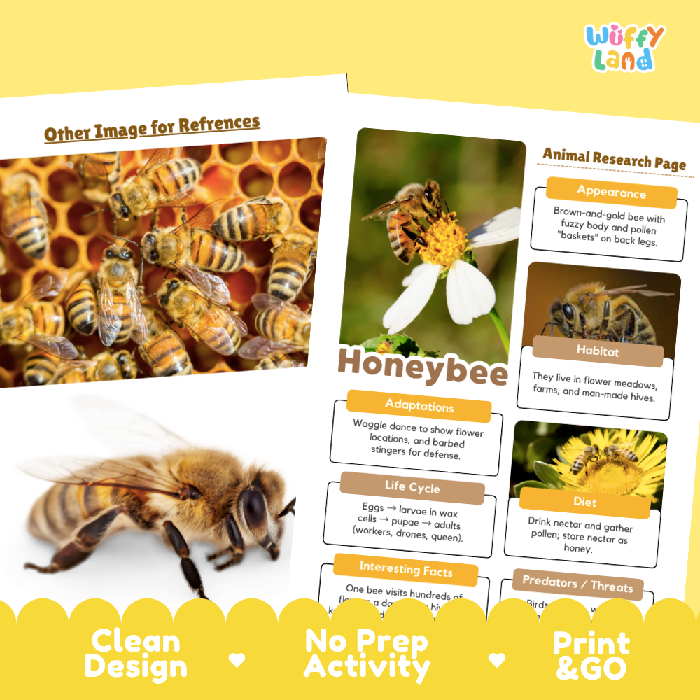 Honeybee Animal Research Page Worksheets