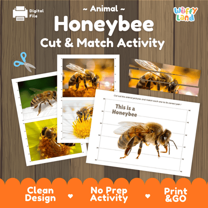 Honeybee Cut and Match Activity Printables Worksheets