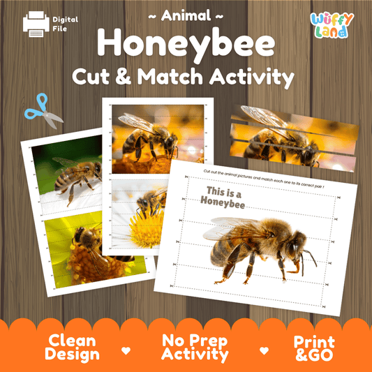 Honeybee Cut and Match Activity Printables Worksheets