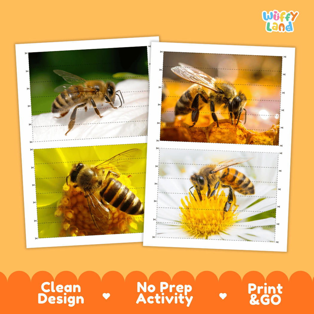 Honeybee Cut and Match Activity Printables Worksheets