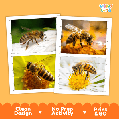 Honeybee Cut and Match Activity Printables Worksheets
