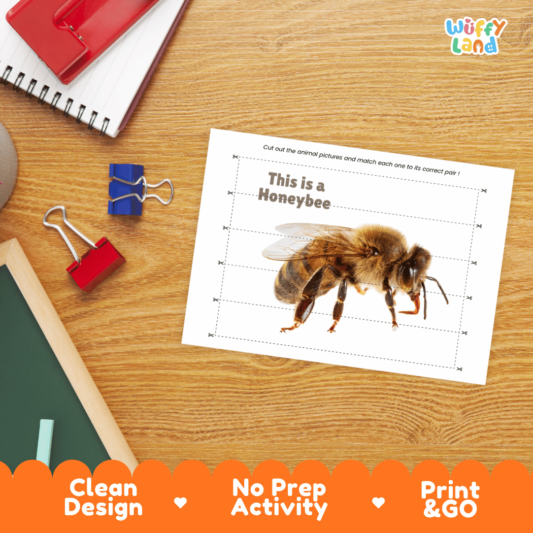 Honeybee Cut and Match Activity Printables Worksheets