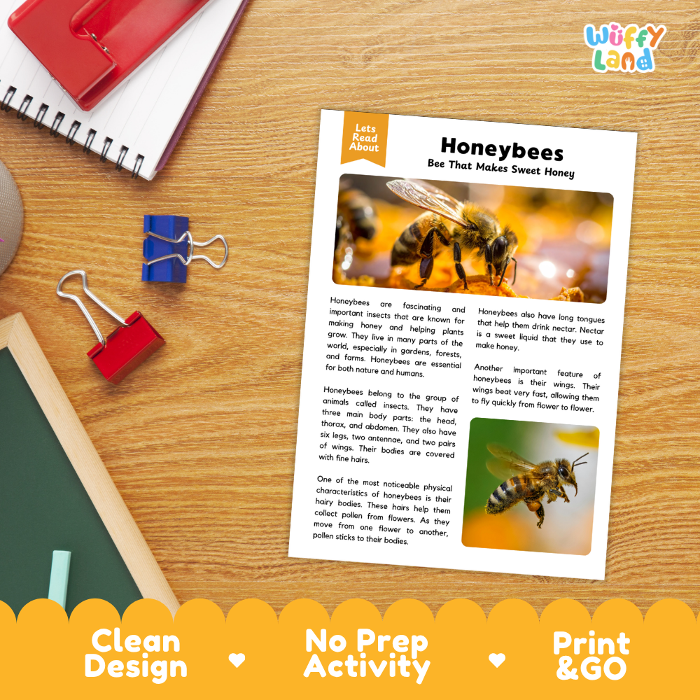 Honeybees Reading Passage and Comprehension Questions Worksheets