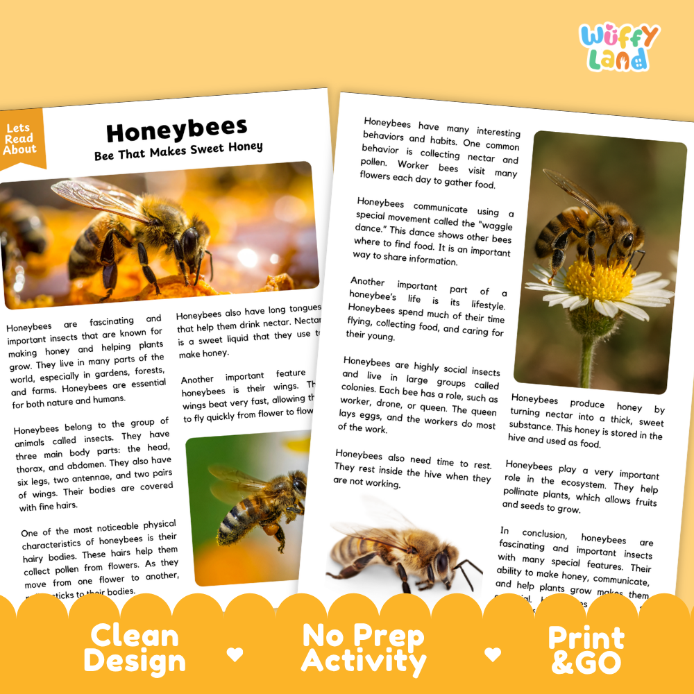 Honeybees Reading Passage and Comprehension Questions Worksheets