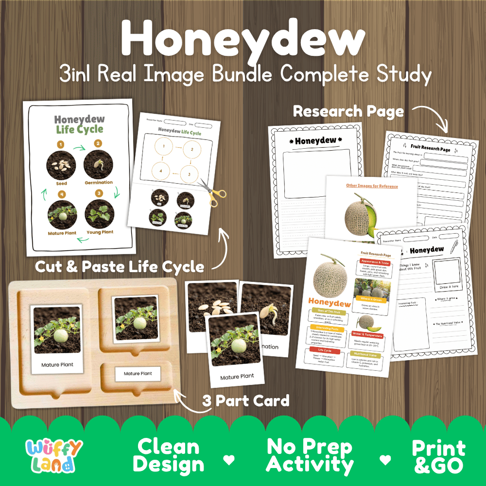Honeydew melon life cycle 3in1 real image bundle complete study overview featuring cut and paste worksheets, Montessori 3-part cards, and research pages from Wuffy Land 🍈🌱