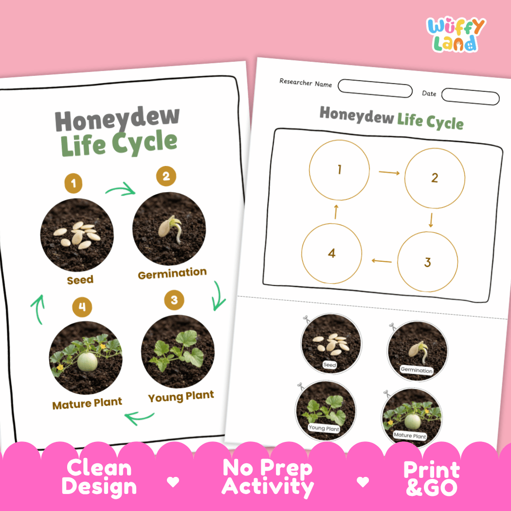 Print and go digital PDF plant science activity featuring clean design layout, researcher name line, and zero prep classroom format