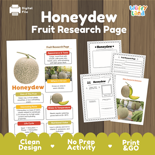 Honeydew Melon Fruit Research Project Science Worksheet Fact Sheet Activity