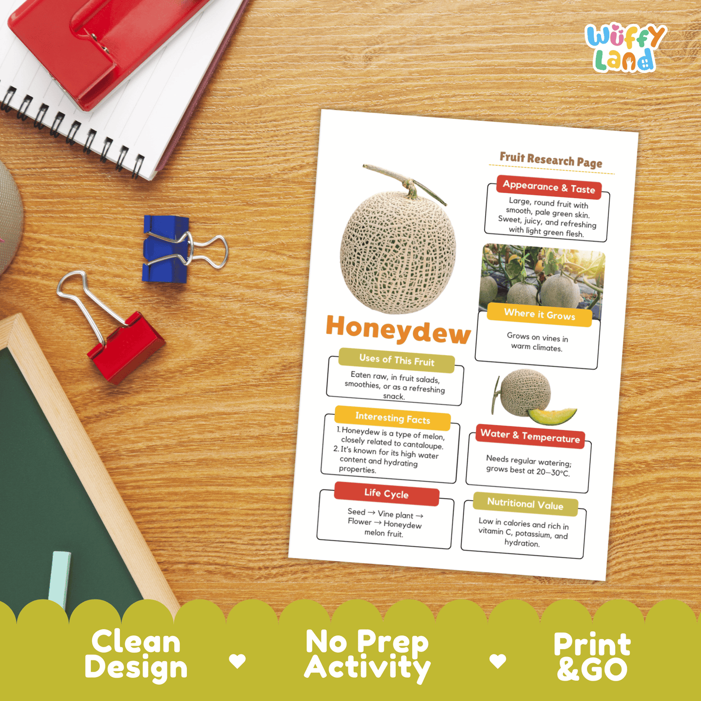 Honeydew Melon Fruit Research Project Science Worksheet Fact Sheet Activity