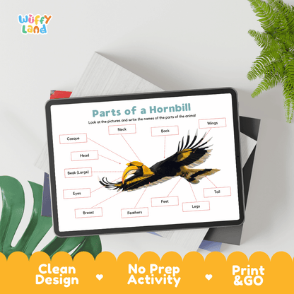 Hands-on hornbill anatomy cut and paste worksheet with printable word tags, callout pointer lines, and scissors graphic