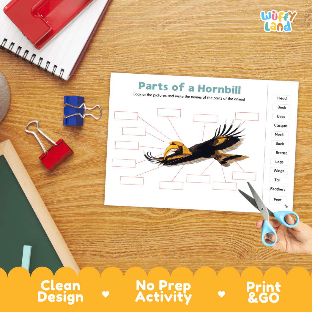 Differentiated hornbill body parts labeling worksheets featuring fill-in write-in boxes and vocabulary word bank