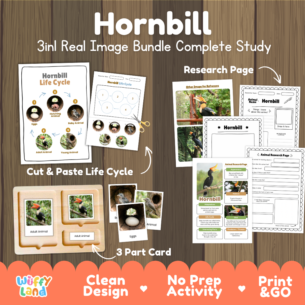 Hornbill 3-in-1 real image bundle complete study cover showing cut and paste life cycle, 3 part cards, and research pages