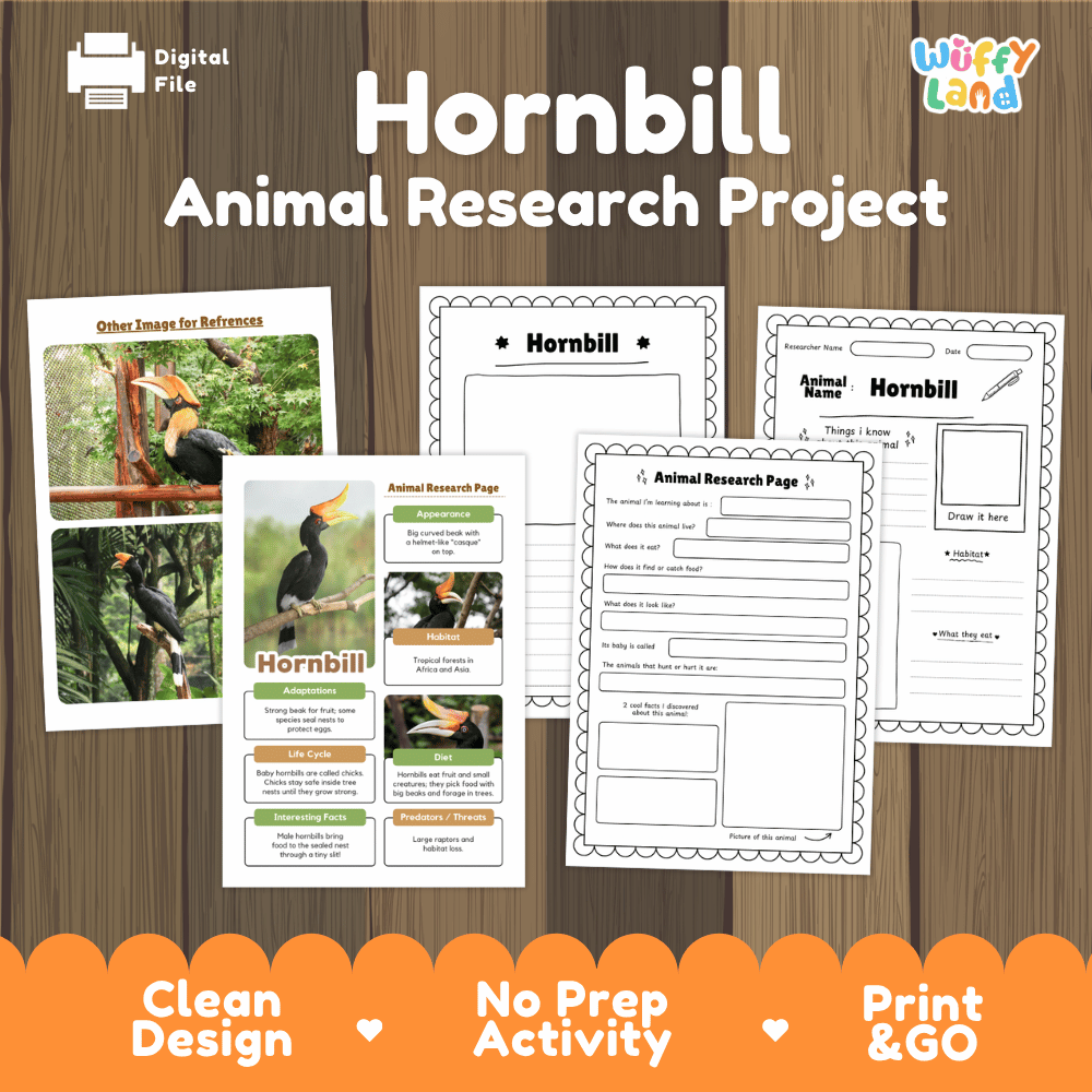 Hornbill Animal Research Project digital activity bundle cover on a wood background, showing printable worksheets, an animal research page, and informational panels. The brand 'Wiffy Land' is visible in the top right corner.