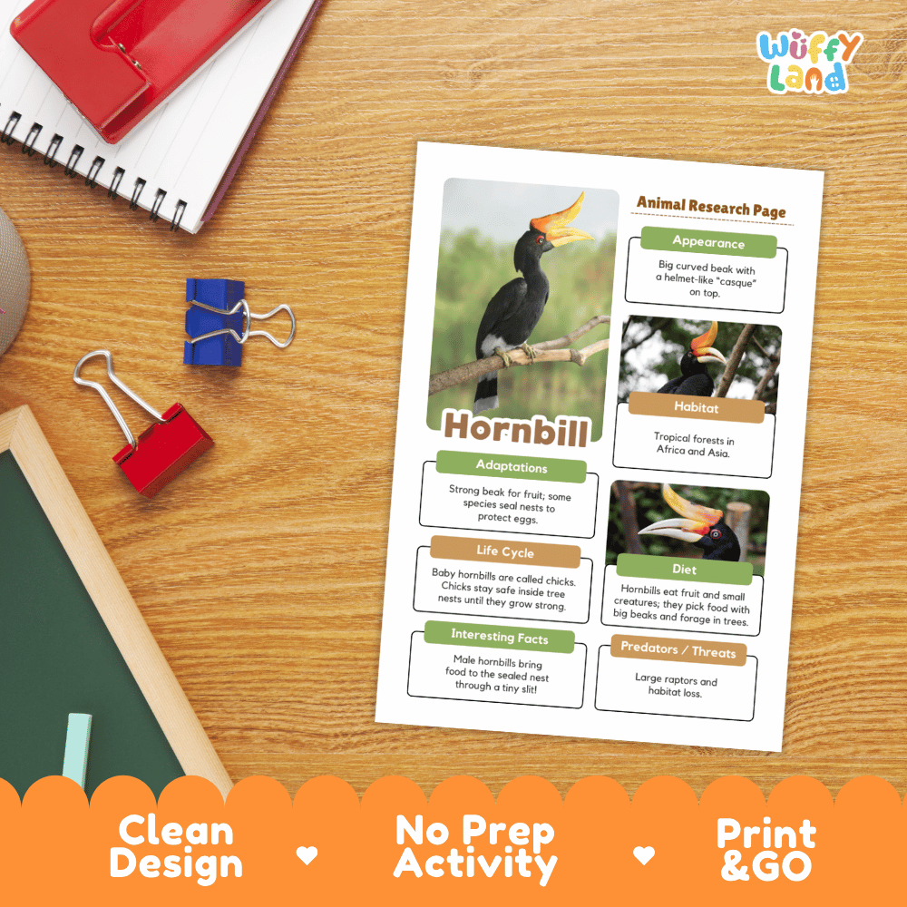 An educational animal research page about a hornbill, styled on a wooden desk with school supplies. The page features a colorful layout with a hornbill photo and text boxes.