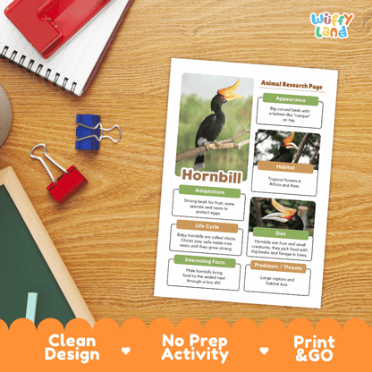 An educational animal research page about a hornbill, styled on a wooden desk with school supplies. The page features a colorful layout with a hornbill photo and text boxes.