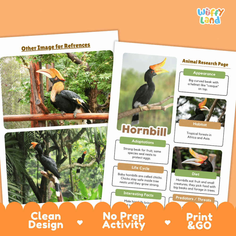 Educational activity sheets for a hornbill bird theme, featuring a black-and-orange hornbill illustration and text sections on appearance, habitat, adaptations, life cycle, diet, and interesting facts. The pages are shown on an orange background with promotional text reading 'Other Image for References,' 'Clean Design,' 'No Prep Activity,' and 'Print & GO.