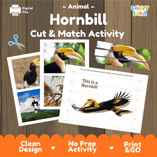Hornbill Cut and Match Activity Worksheets | Bird Animal Puzzle Printables