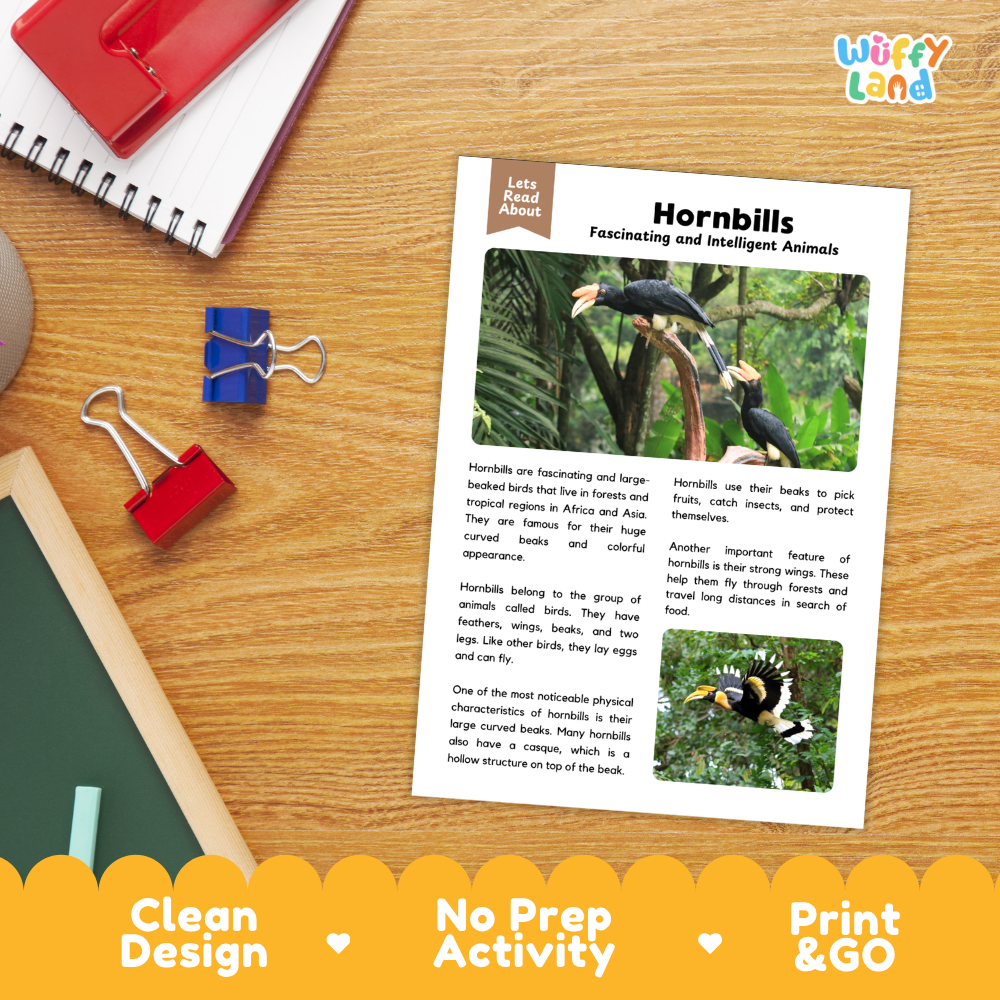 An educational activity sheet titled 'Hornbills Fascinating and Intelligent Animals' by Wiffy Land, displayed on a wooden desk with a spiral notebook, red binder clips, and a blue binder clip nearby. The sheet features text and a small color swatch photo of a hornbill.
