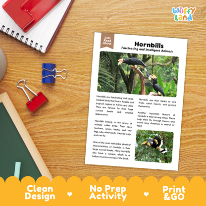 An educational activity sheet titled 'Hornbills Fascinating and Intelligent Animals' by Wiffy Land, displayed on a wooden desk with a spiral notebook, red binder clips, and a blue binder clip nearby. The sheet features text and a small color swatch photo of a hornbill.