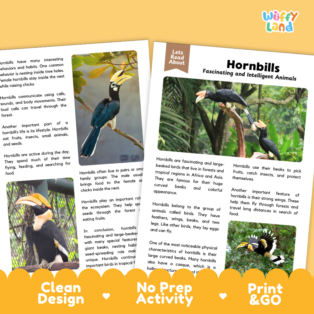 A children's educational activity sheet titled 'Hornbills Fascinating and Intelligent Animals' from the brand 'Wiffle It!', featuring text, illustrations, and a small photo of hornbills. The sheet is shown on a white background with a yellow promotional banner at the bottom highlighting features like 'Clean Design', 'No Prep Activity', and 'Print & Go'.