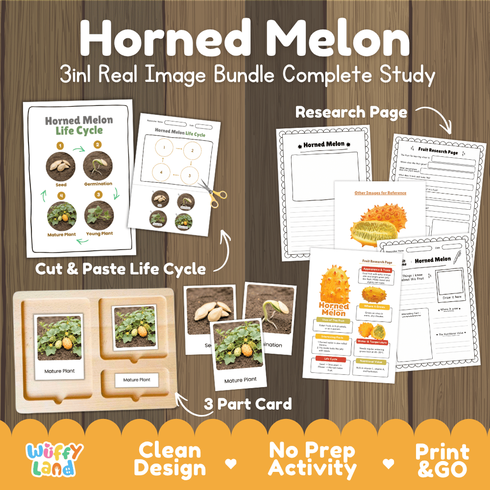 Horned melon life cycle 3in1 real image bundle complete study overview featuring cut and paste worksheets, Montessori 3-part cards, and research pages from Wuffy Land 🍈🌱