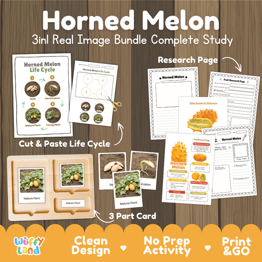 Horned melon life cycle 3in1 real image bundle complete study overview featuring cut and paste worksheets, Montessori 3-part cards, and research pages from Wuffy Land 🍈🌱