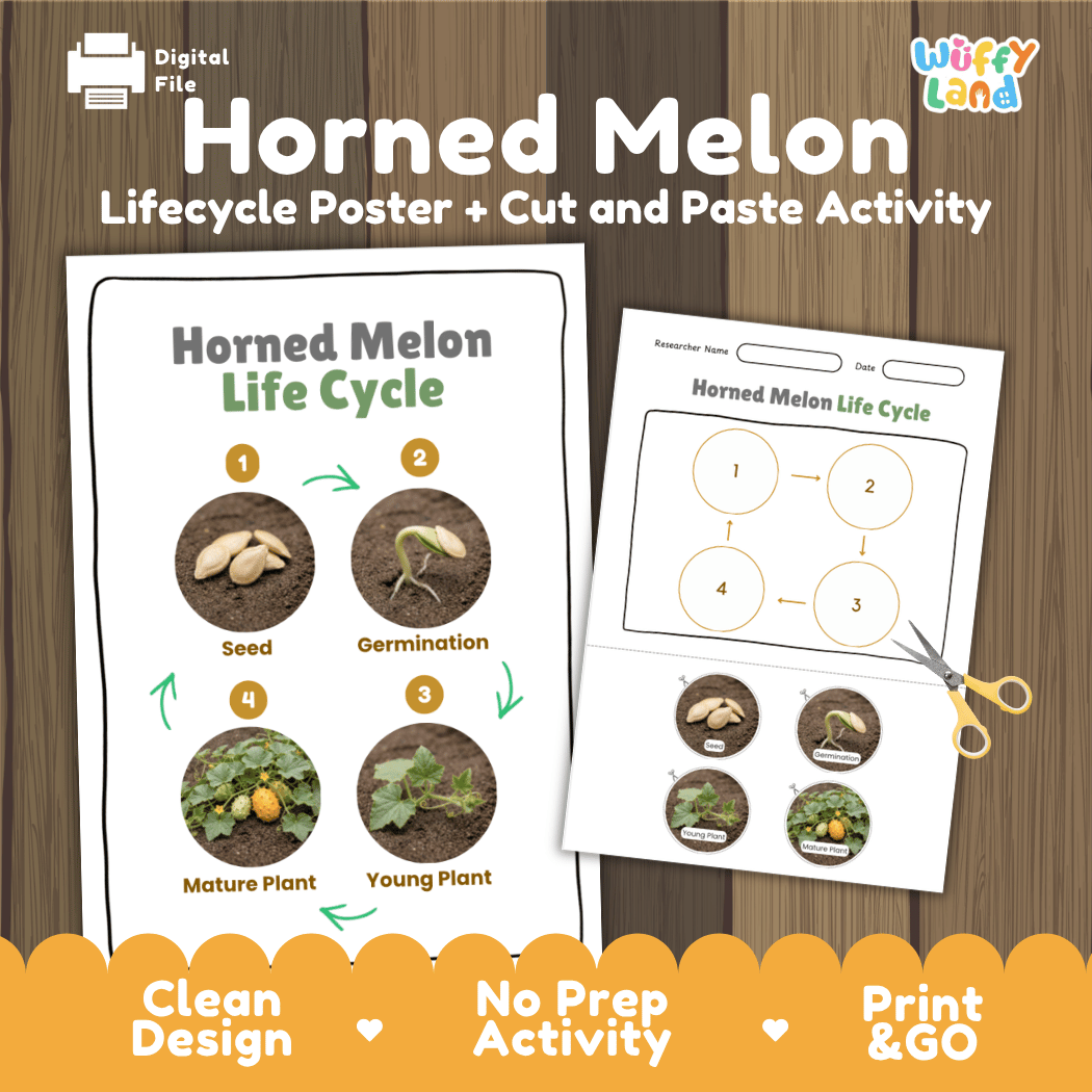 Horned melon kiwano plant life cycle educational poster and cut and paste printable sequencing activity featuring real photos for elementary science