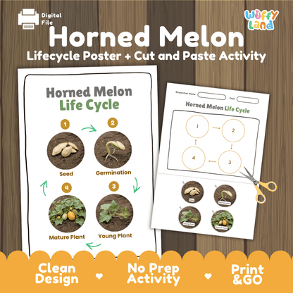 Horned melon kiwano plant life cycle educational poster and cut and paste printable sequencing activity featuring real photos for elementary science
