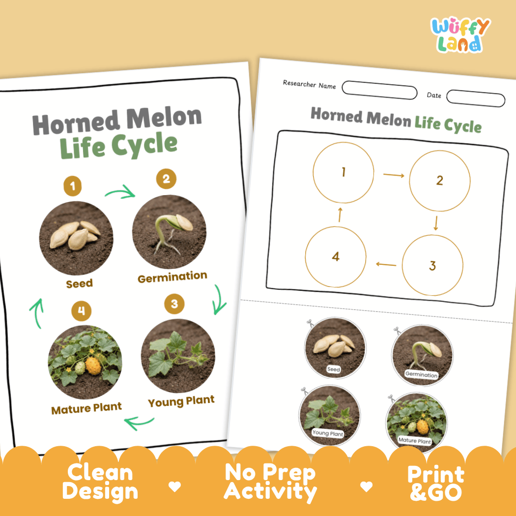 Print and go digital PDF plant science activity featuring clean design layout, researcher name line, and zero prep classroom format