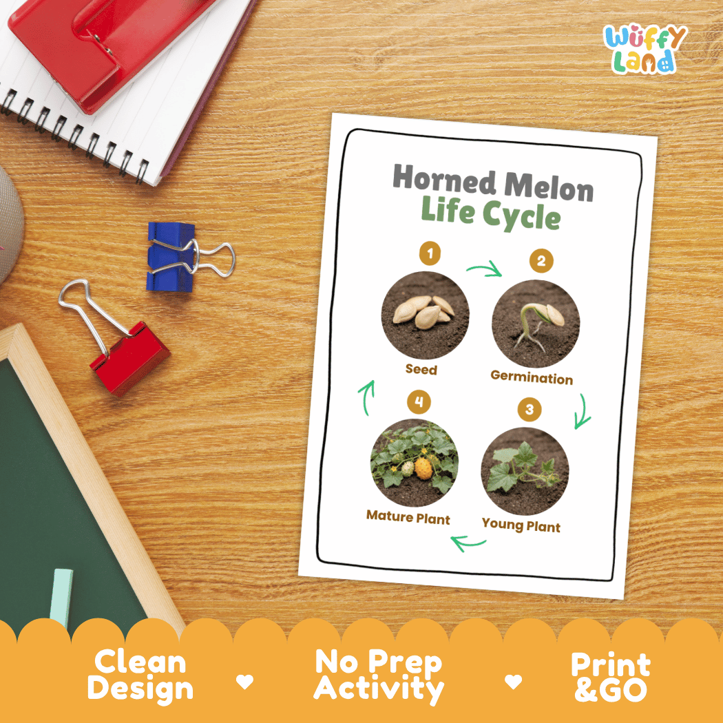 Hands-on cut and paste science worksheet with numbered circular slots for students to sequence real photo stages of a horned melon plant
