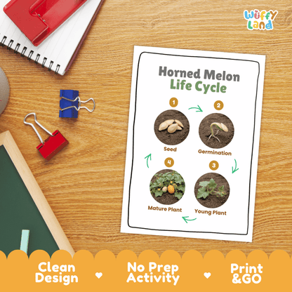 Hands-on cut and paste science worksheet with numbered circular slots for students to sequence real photo stages of a horned melon plant