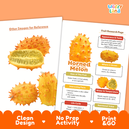Horned Melon Kiwano Fruit Research Project Science Worksheet Fact Sheet Activity