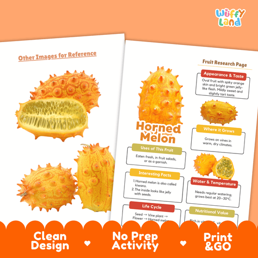 Horned Melon Kiwano Fruit Research Project Science Worksheet Fact Sheet Activity