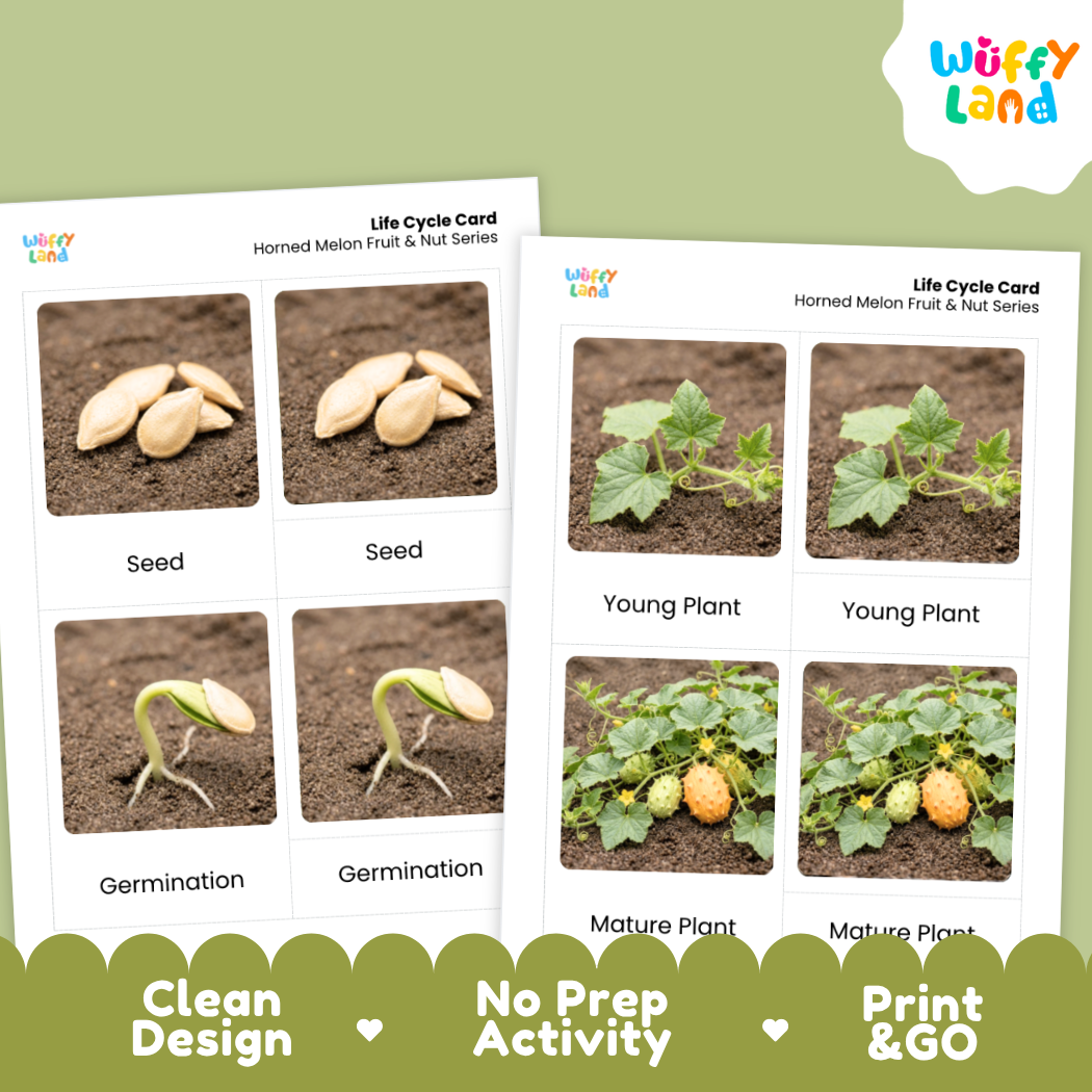 Two printed educational cards showing the life cycle of a horned melon fruit and nut series, with seed, germination, young plant, and mature plant photos. The cards are displayed on a light green background with a white Wuffi Land logo in the top right and marketing text along the bottom.