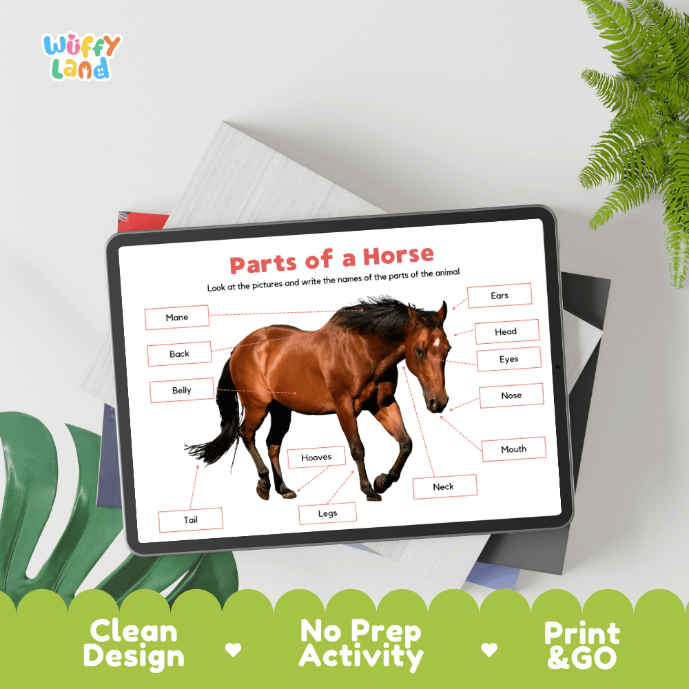 Hands-on horse anatomy cut and paste worksheet with printable word tags, callout pointer lines, and scissors graphic