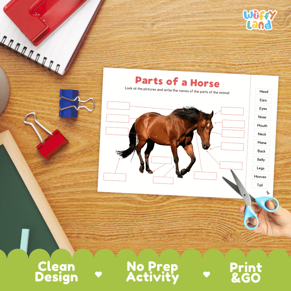 Differentiated horse body parts labeling worksheets featuring fill-in write-in boxes and vocabulary word bank