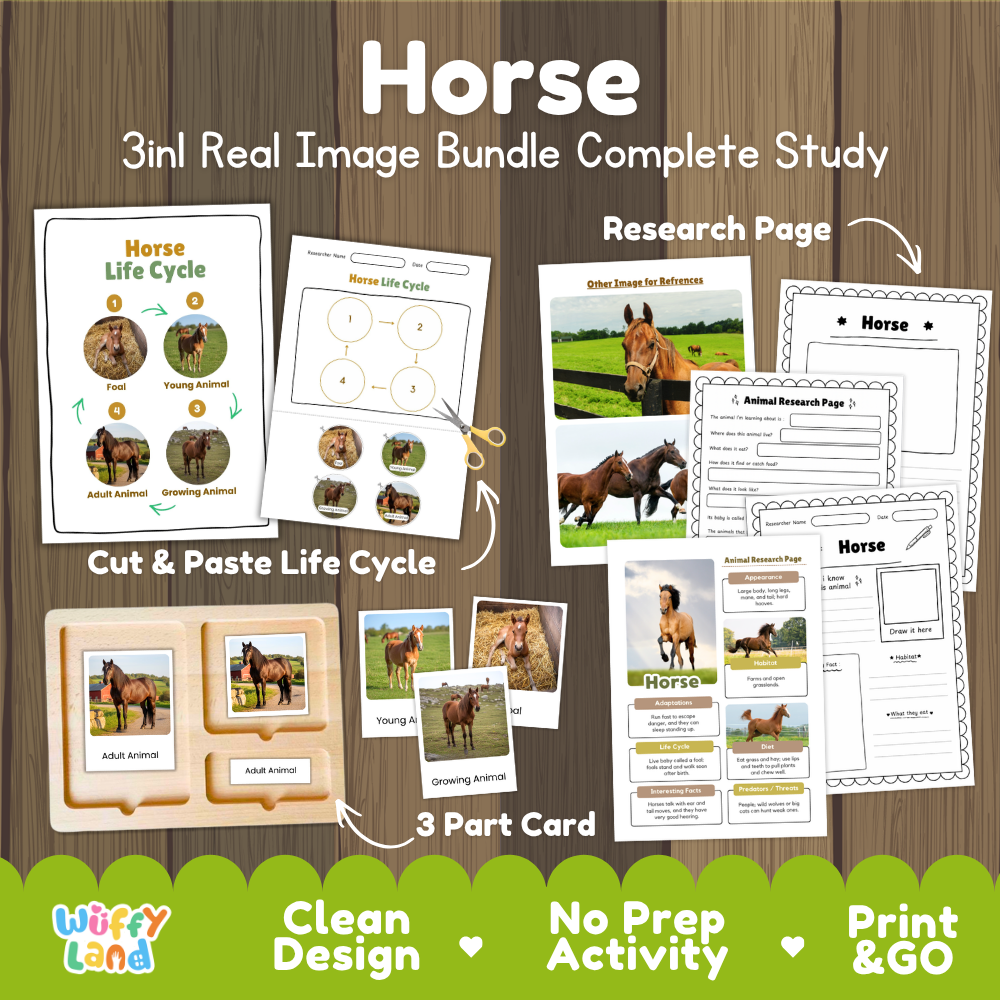 Horse 3-in-1 real image bundle complete study cover showing cut and paste life cycle, 3 part cards, and research pages
