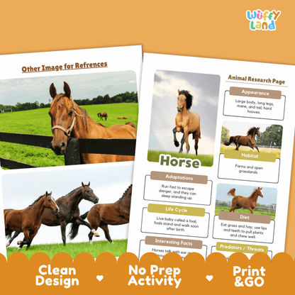 Educational activity sheet set about horses, featuring a horse research page with text boxes and photos of horses in a field, alongside a reference page. The sheets are shown on an orange background with a decorative orange banner at the bottom reading 'Clean Design', 'No Prep Activity', and 'Print & GO'.
