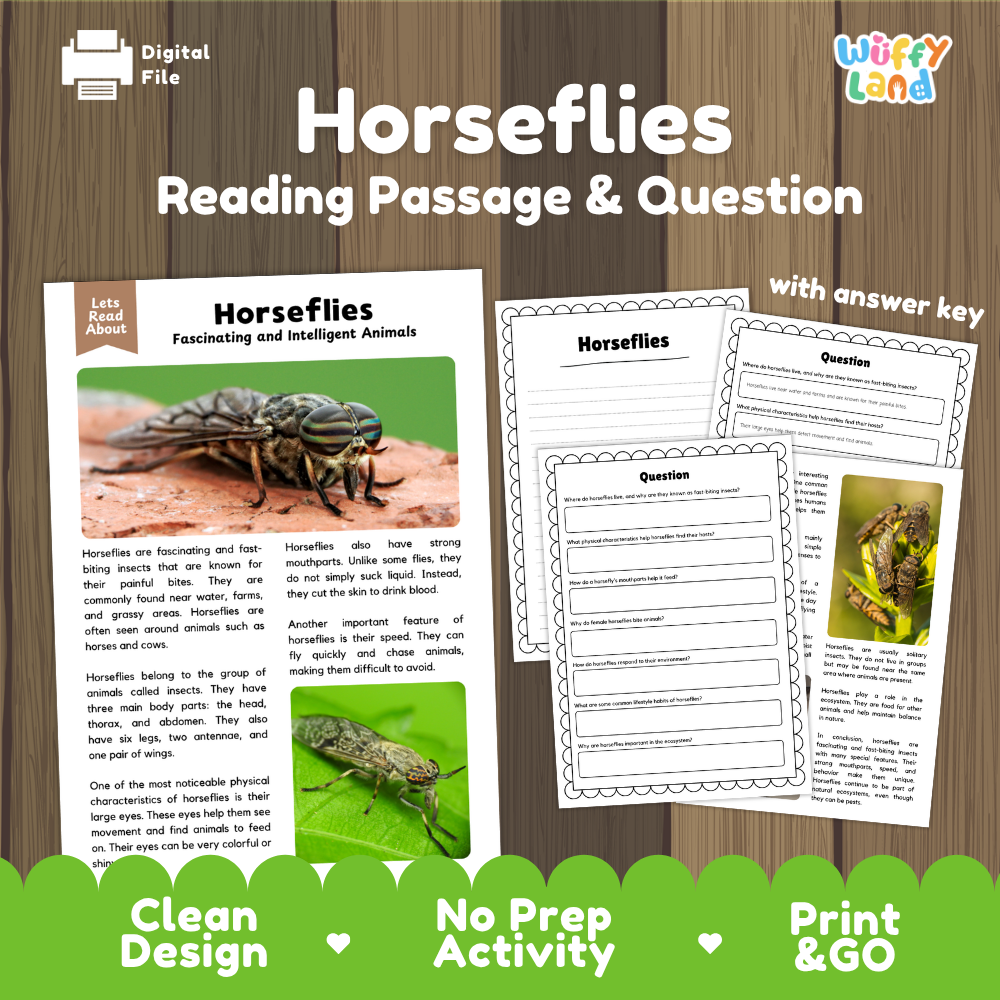 Digital reading activity sheet set about horsesflies, featuring a reading passage, comprehension questions, and an answer key on a wood-textured background with promotional text at the bottom.