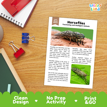 An educational printout about horseflies laid on a wooden desk, surrounded by school supplies like a spiral notebook, red binder clips, and a red notebook. The print has text, a close-up horsefly photo, and inset color swatches.
