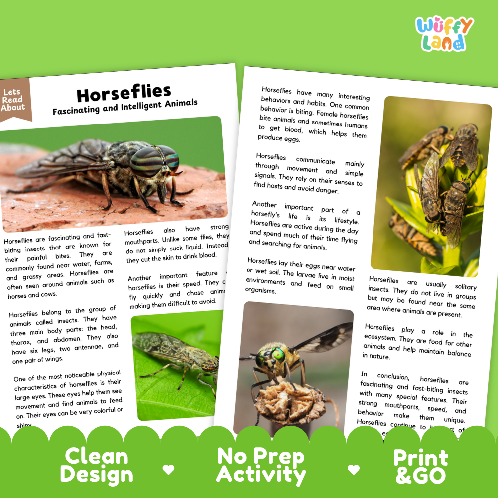 An educational activity sheet about horseflies from Wuffly Land, featuring a 'Read About' section, a central text panel, and a printed butterfly wing craft template on the right. The design includes a 'Clean Design' and 'Print & Go' banner at the bottom.