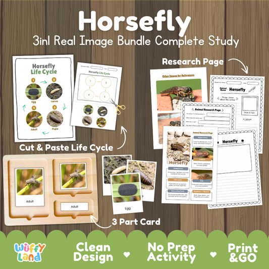 Horsefly 3-in-1 real image bundle complete study cover showing cut and paste life cycle, 3 part cards, and research pages   